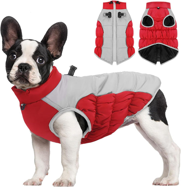 Winter Waterproof Dog Coat for Medium to Large Breeds