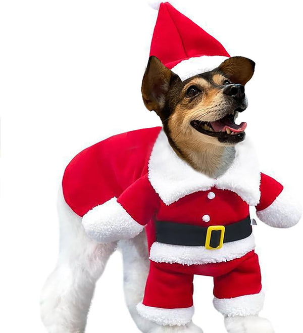 Festive Santa Claus Pet Costume Set